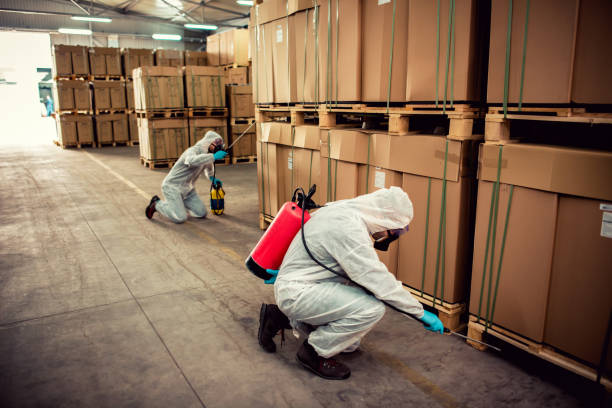 Best Emergency Pest Control  in Oak Grove, VA