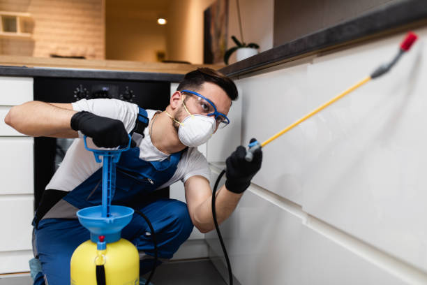 Best Bed Bug Extermination  in Oak Grove, VA