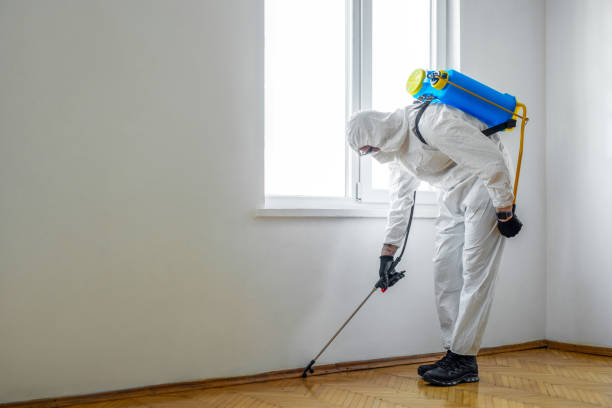 Best Affordable Pest Control Services  in Oak Grove, VA