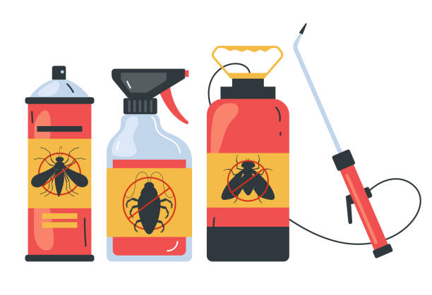 Best Spider Control Near Me  in Oak Grove, VA